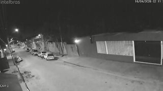 Woman Beaten to Death With Baseball Bat Following Savage Pitbull Attack on Man's Pet