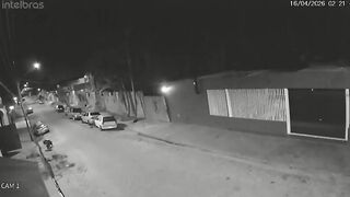 Woman Beaten to Death With Baseball Bat Following Savage Pitbull Attack on Man's Pet