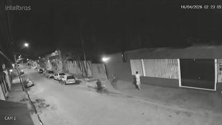Woman Beaten to Death With Baseball Bat Following Savage Pitbull Attack on Man's Pet
