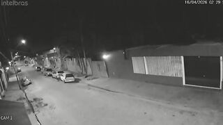 Woman Beaten to Death With Baseball Bat Following Savage Pitbull Attack on Man's Pet
