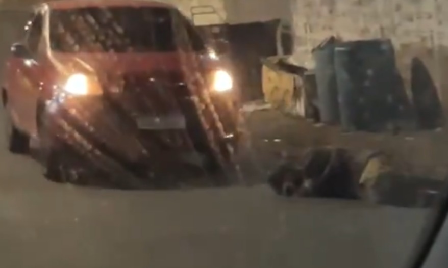She Saw Him and Still Ran Him Over – Woman Hits Sleeping Homeless Man and Escapes