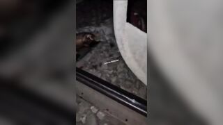 The man was split in two. Horrible, horrible accident.