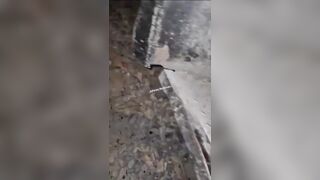The man was split in two. Horrible, horrible accident.