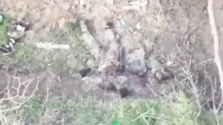 Two Orcs ended it themselves with a grenade (2 videos)