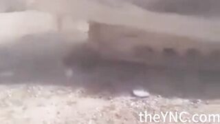A Dead Islamic State Member Was Bulldozed Repeated Rolling