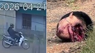 Rider Decapitated after Collision with a Truck (CCTV & Aftermath)