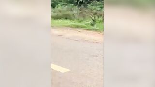 Rider Decapitated after Collision with a Truck (CCTV & Aftermath)