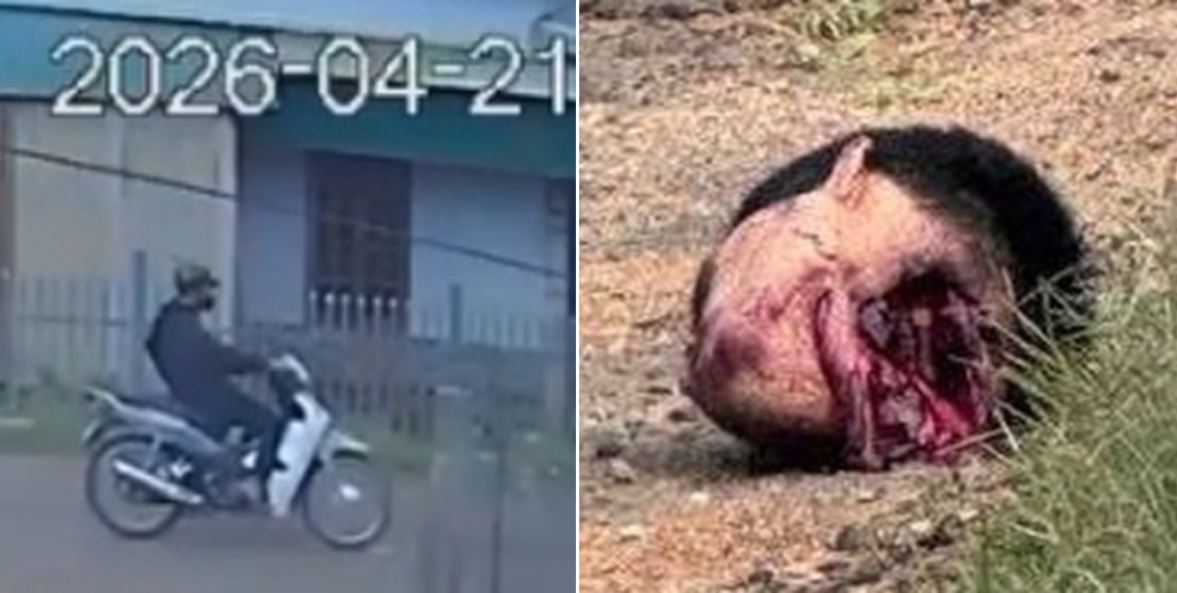 Rider Decapitated after Collision with a Truck (CCTV & Aftermath)