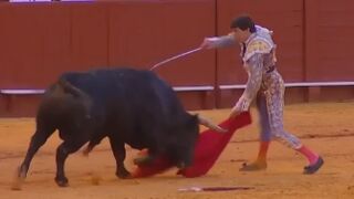 Peruvian bullfighter Andrés Roca Rey suffers serious goring in Seville