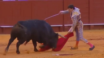 Peruvian bullfighter Andrés Roca Rey suffers serious goring in Seville