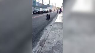 Crawling Like a Worm: Robber Shot While Fleeing After Failed Store Heist