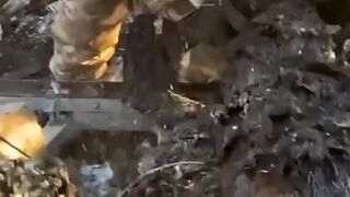 An Orc sees a bag in the forest, opens it, and dies...