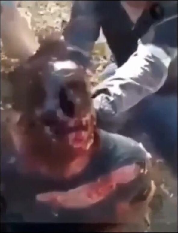 Classic One of the cartel members had his face burned and disfigured.