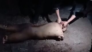 Laughing While They Slice: Cartel Sicarios Toy with a Rival Using Razor-Sharp Knives