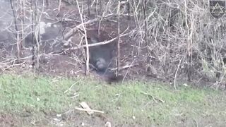 Russian was killed at close range