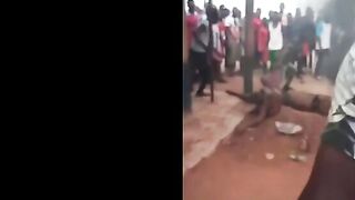 Death 'n' shit compilation 6
