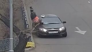 Drunk female passenger causes fatal accident