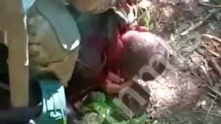 A very brutal war archive  (compilation)