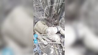 Dead Ukrannies everywhere.
