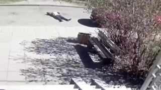 Woman driver in Minsk kills man lying in front of her car