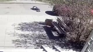Woman driver in Minsk kills man lying in front of her car