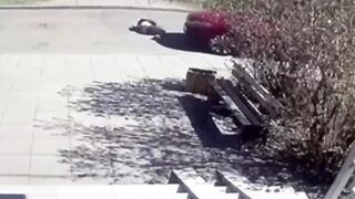 Woman driver in Minsk kills man lying in front of her car