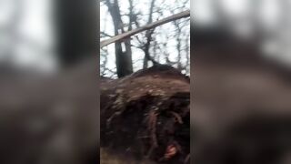 Orc found "fallen angels"