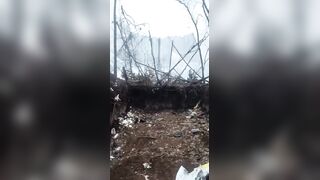 Orc found "fallen angels"