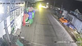 Dog Causes A Fatal Motorcycle Accident