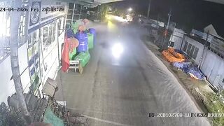 Dog Causes A Fatal Motorcycle Accident