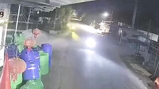 Dog Causes A Fatal Motorcycle Accident