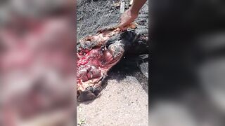 Dead JNIM & FLA Fighters Litter Battlefield After Failed Coordinated Assault on Mali