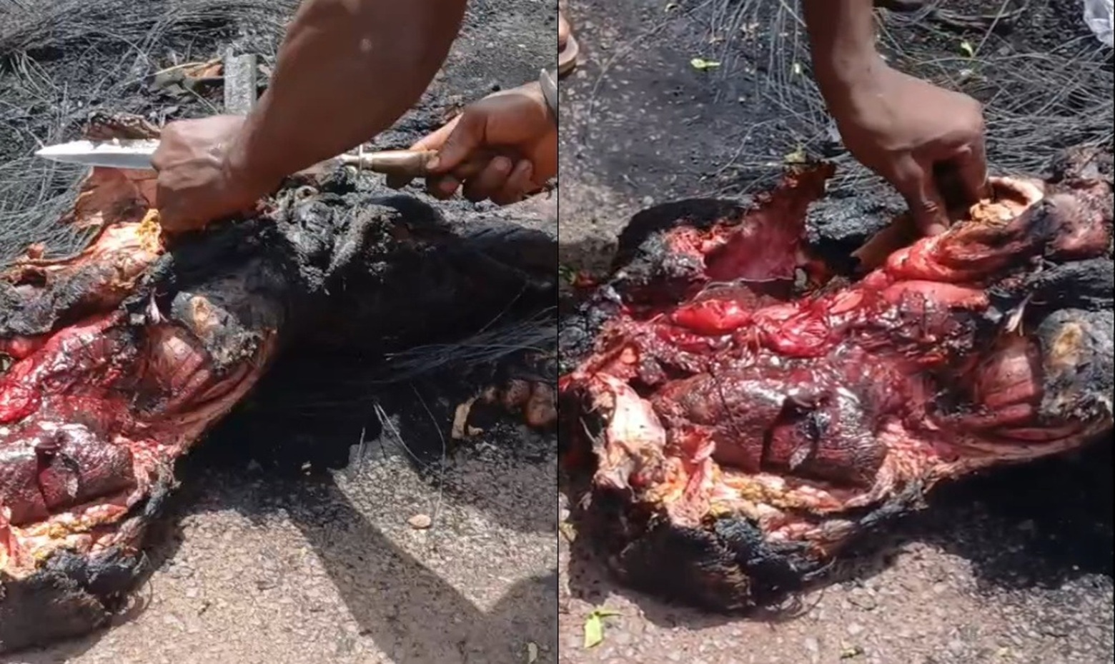 Dead JNIM & FLA Fighters Litter Battlefield After Failed Coordinated Assault on Mali