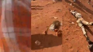 Islamic savages slaughtered hundreds in Mali