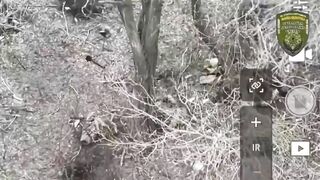 UKRAINE DEATH COMP CLI