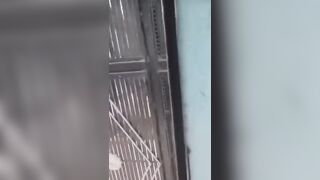Young Man Brutally Assaulted with Hammers and Sticks in Broad Daylight in Faridabad