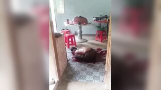 Man Found Lying In The Pool Of Own Blood At Home In Indonesia