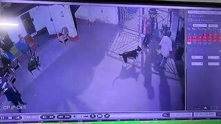 Congress supporter beaten to death in front of wife and 10-year-old son
