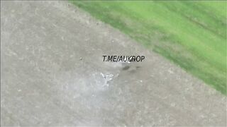 Ukrainian ant disintegrated.