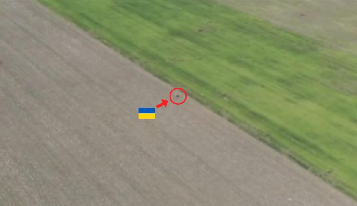 Ukrainian ant disintegrated.