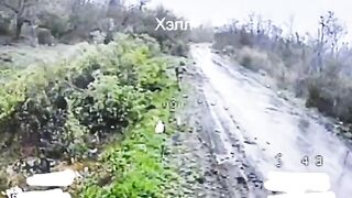 Another Ukrainian family outing (Gone wrong)