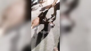 Thug Accused Of Robberies Gets Good Street Justice Beating In Cascadura Area