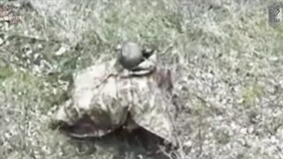 The Orc said to himself: "I'd rather kill myself than be killed by a drone"