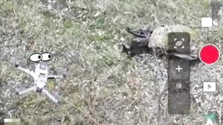 The Orc said to himself: "I'd rather kill myself than be killed by a drone"