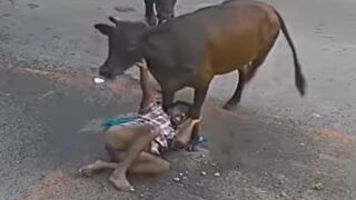 Horrifying Bull Attack on Farmer Caught on Camera in Tamil Nadu