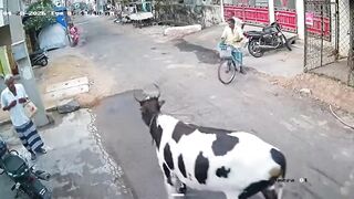Horrifying Bull Attack on Farmer Caught on Camera in Tamil Nadu