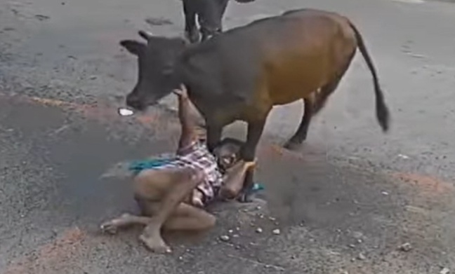 Horrifying Bull Attack on Farmer Caught on Camera in Tamil Nadu