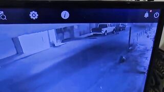 Mother & Daughter Executed with Gunshots to the Head While Talking Outside Home