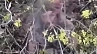 The Orc took out his frustration on his own