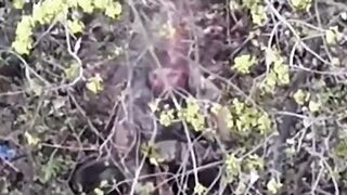 The Orc took out his frustration on his own